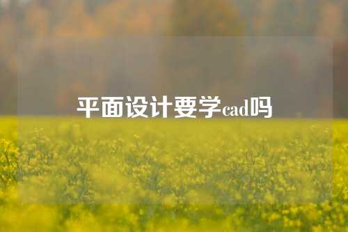 平面设计要学cad吗